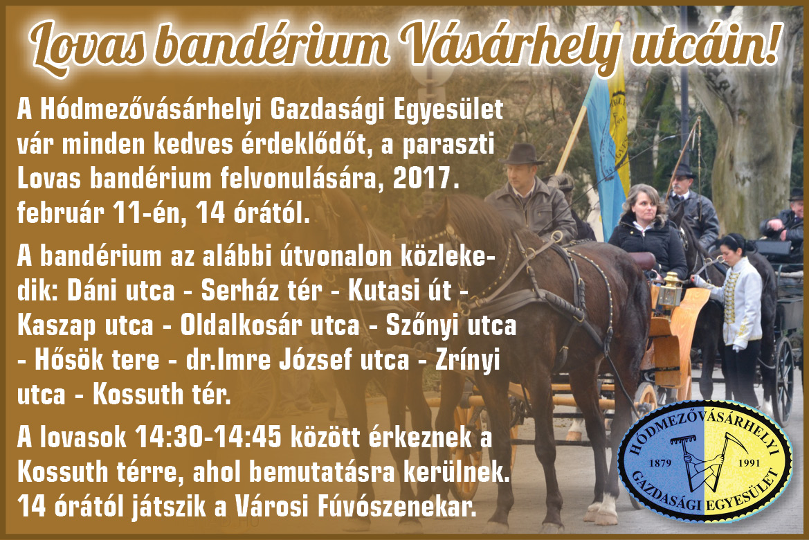 Lovasbanderium2017.jpg